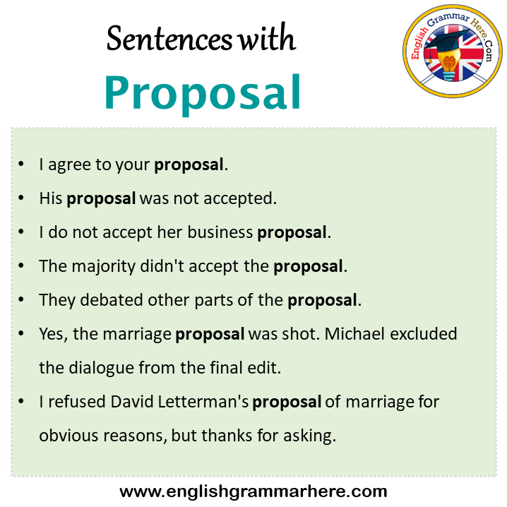 Sentences with Proposal, Proposal in a Sentence in English, Sentences For Proposal