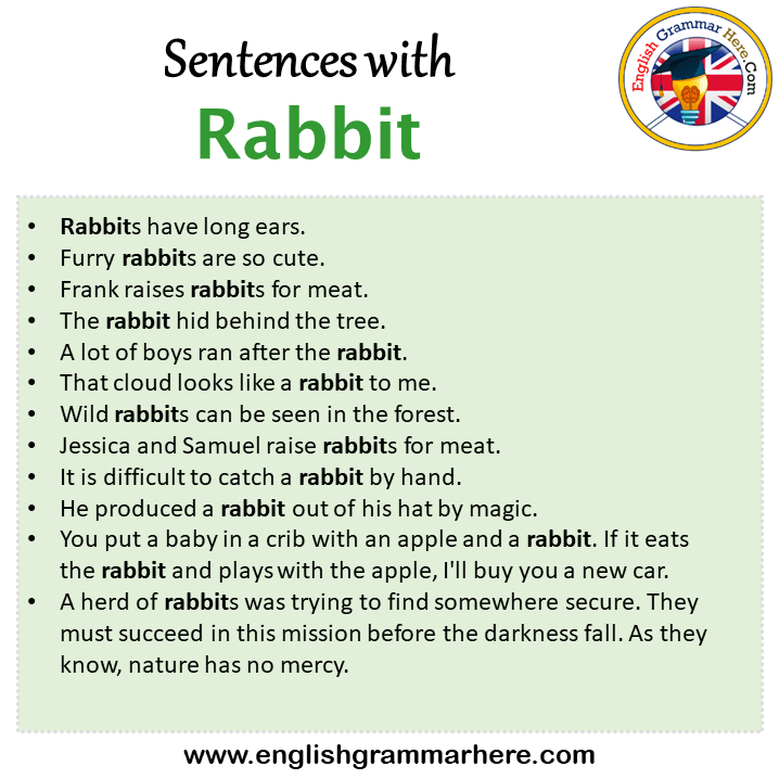 Sentences with Rabbit, Rabbit in a Sentence in English, Sentences For Rabbit