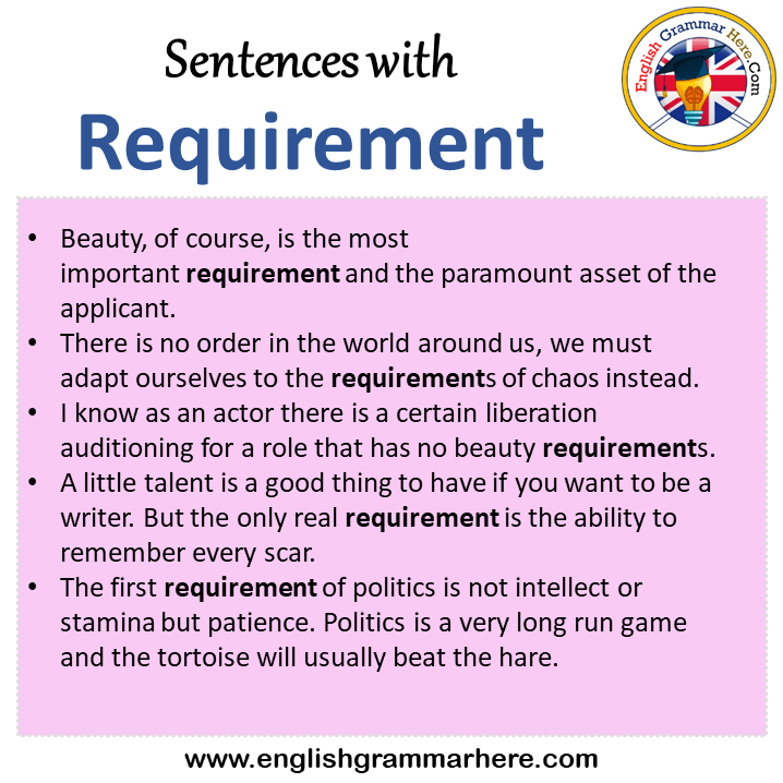 essay sentence requirements
