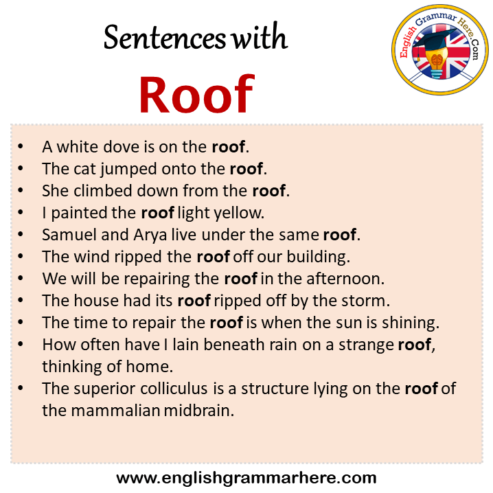 Sentences with Roof, Roof in a Sentence in English, Sentences For Roof