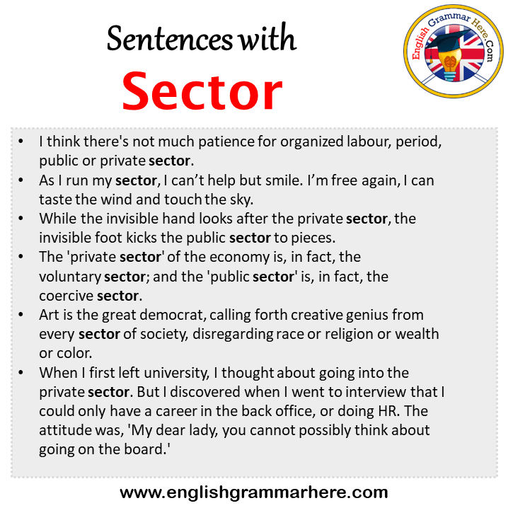 Sentences with Sector, Sector in a Sentence in English, Sentences For Sector