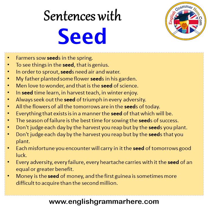 Sentences with Seed, Seed in a Sentence in English, Sentences For Seed