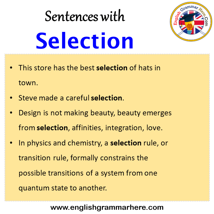 Sentences with Selection, Selection in a Sentence in English, Sentences For Selection