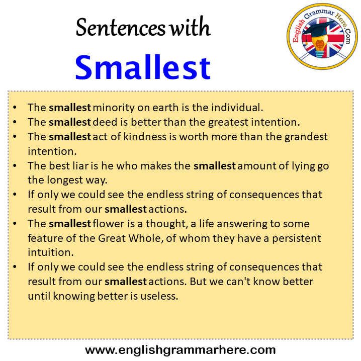 Sentences with Smallest, Smallest in a Sentence in English, Sentences For Smallest