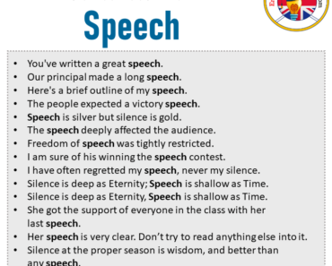speech in a sentence