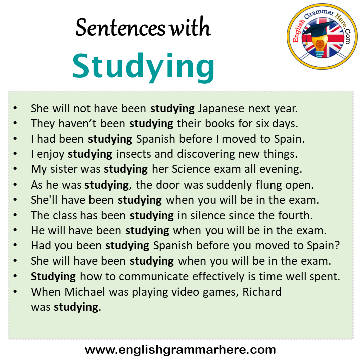 Sentences with Studying, Studying in a Sentence in English, Sentences For Studying