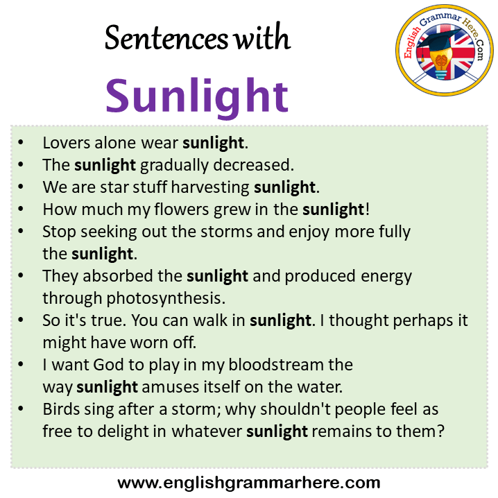 Sentences with Sunlight, Sunlight in a Sentence in English, Sentences For Sunlight