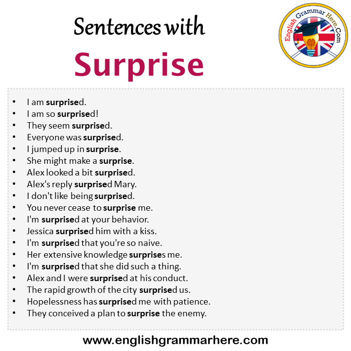 Sentences with Surprise, Surprise in a Sentence in English, Sentences For Surprise