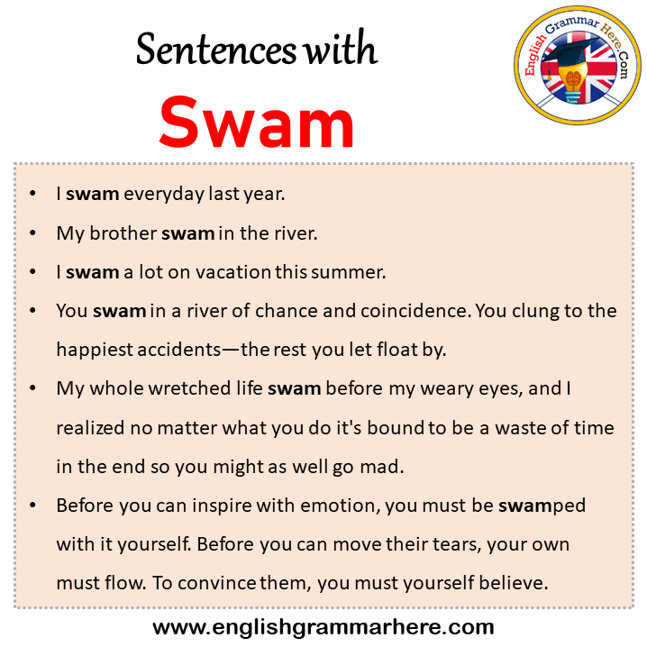 Sentences with Swam, Swam in a Sentence in English, Sentences For Swam