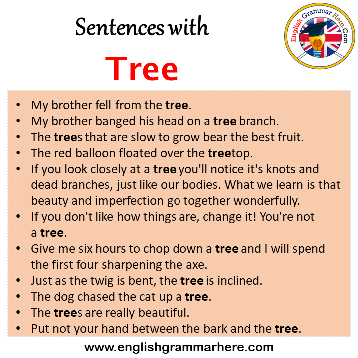 Sentences with Tree, Tree in a Sentence in English, Sentences For Tree