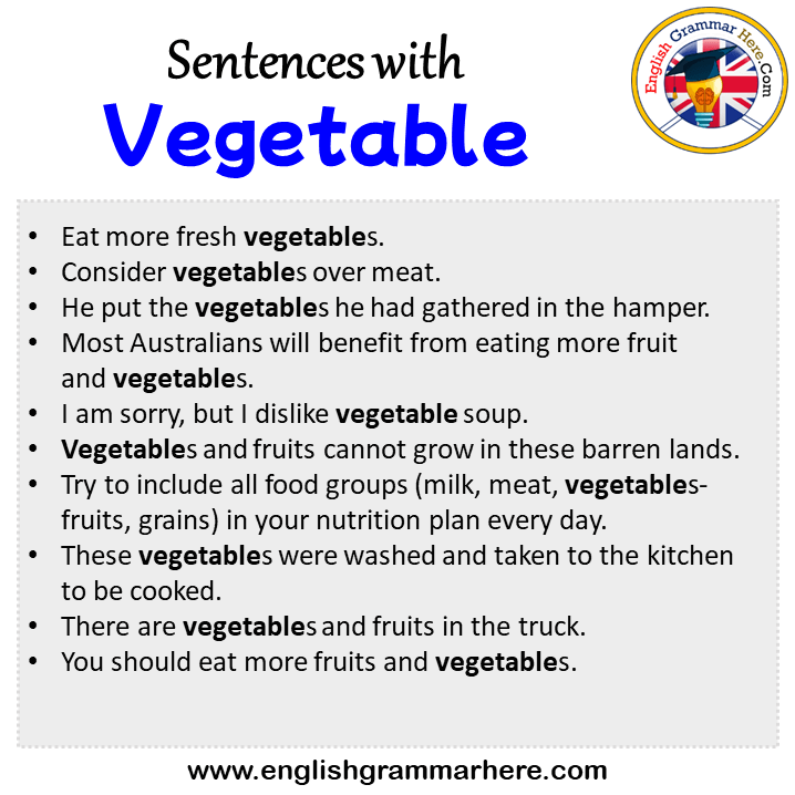 Sentences with Vegetable, Vegetable in a Sentence in English, Sentences For Vegetable