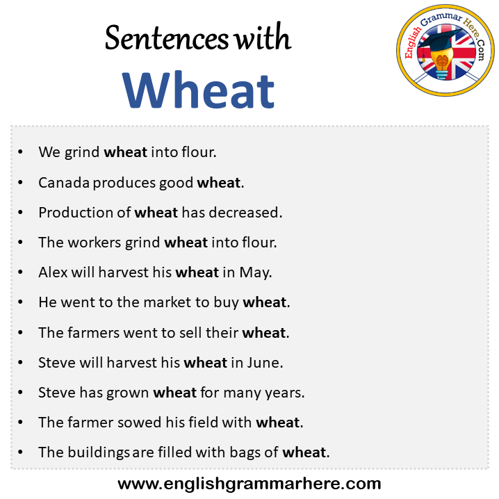 Sentences with Wheat, Wheat in a Sentence in English, Sentences For Wheat