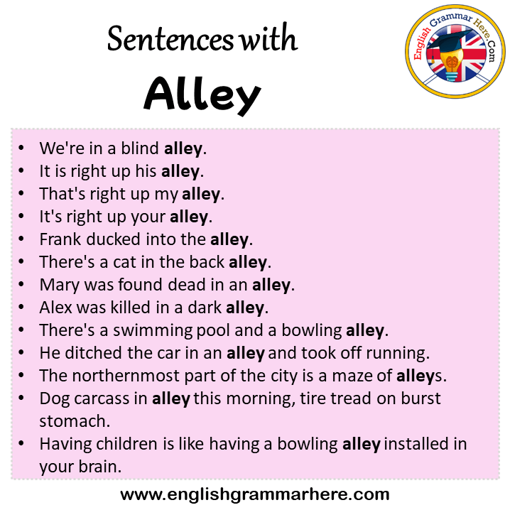 Sentences with Alley, Alley in a Sentence in English, Sentences For Alley