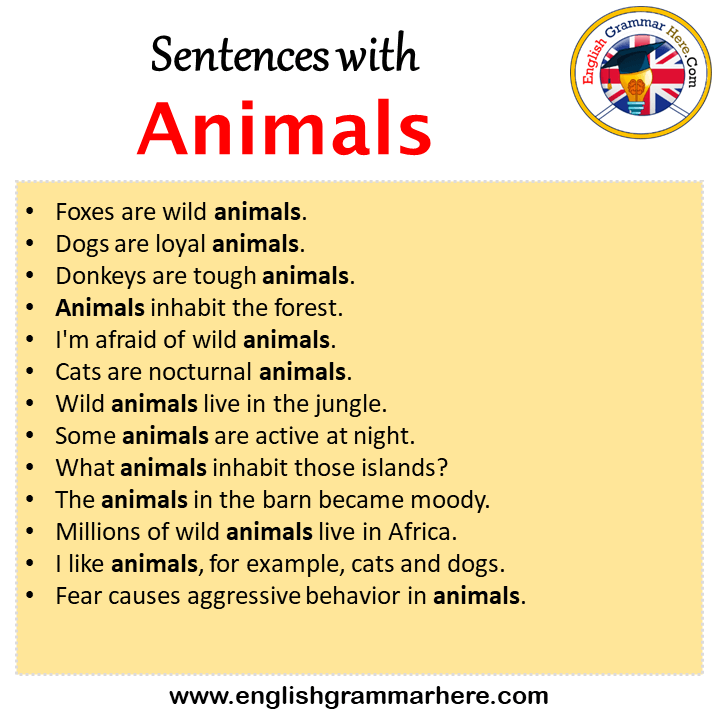 Sentences with Animals, Animals in a Sentence in English, Sentences For Animals