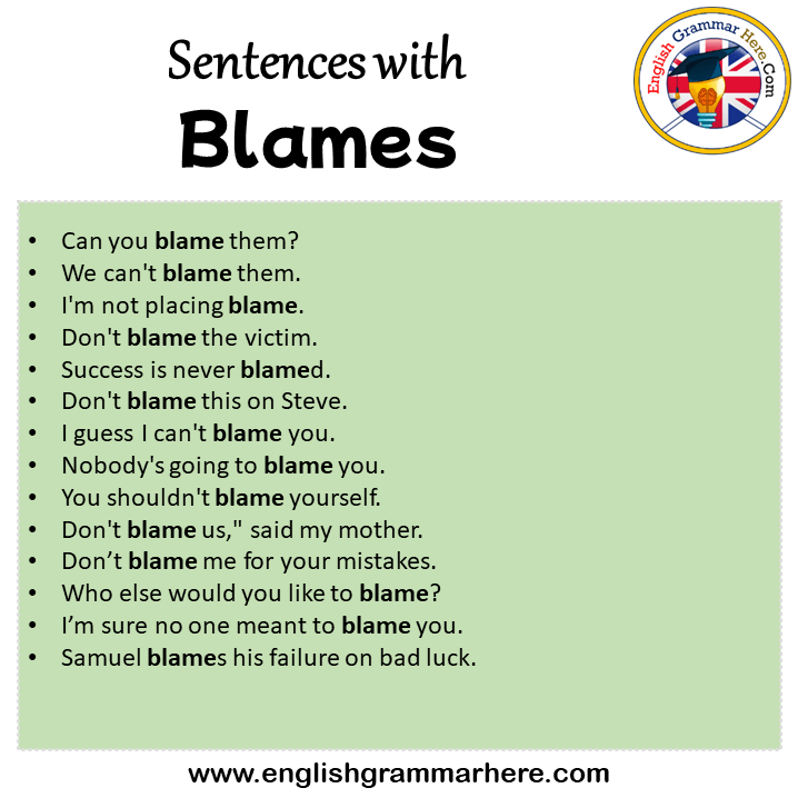 Sentences with Blames, Blames in a Sentence in English, Sentences For Blames