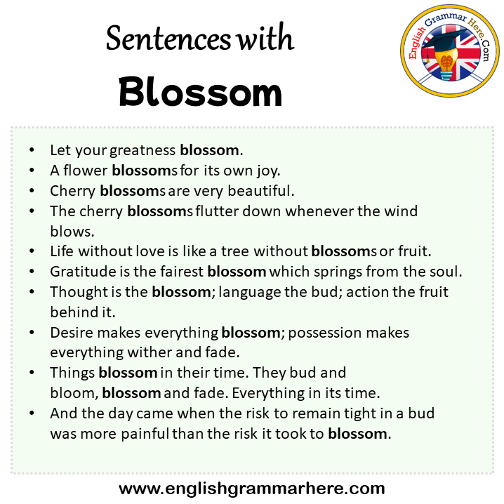 Sentences with Blossom, Blossom in a Sentence in English, Sentences For Blossom