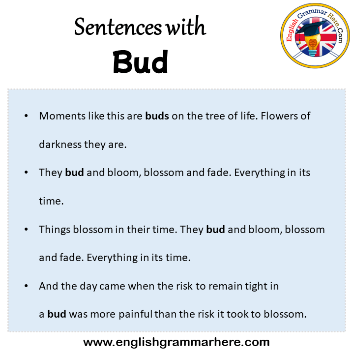 Sentences with Bud, Bud in a Sentence in English, Sentences For Bud