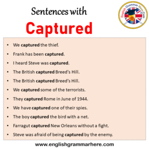 Sentences with Captured, Captured in a Sentence in English, Sentences ...