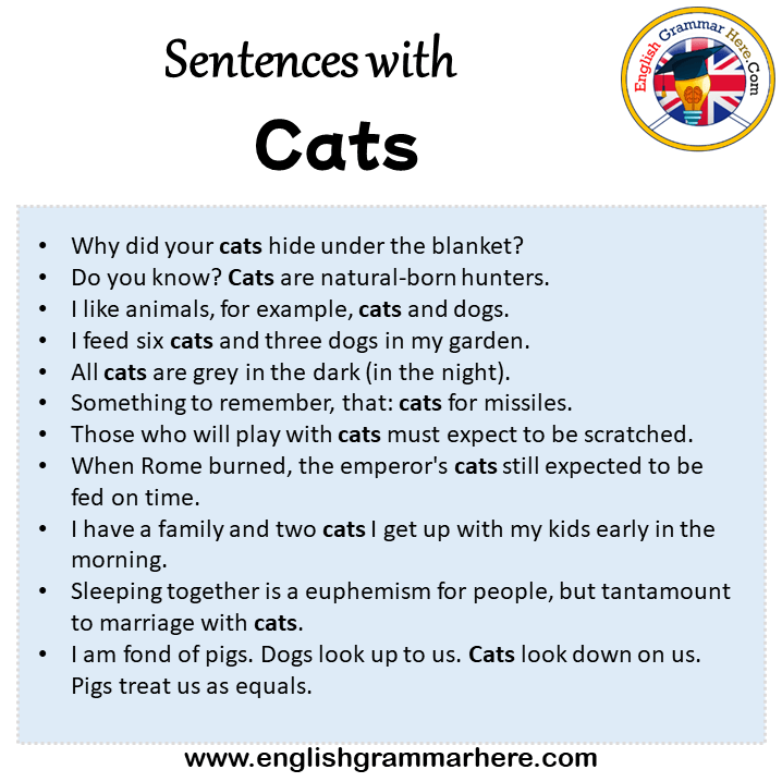 Sentences with Cats, Cats in a Sentence in English, Sentences For Cats