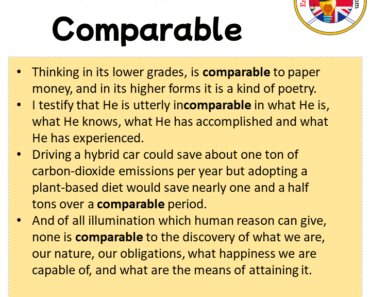 Comparable in a Sentence in English Archives - English Grammar Here