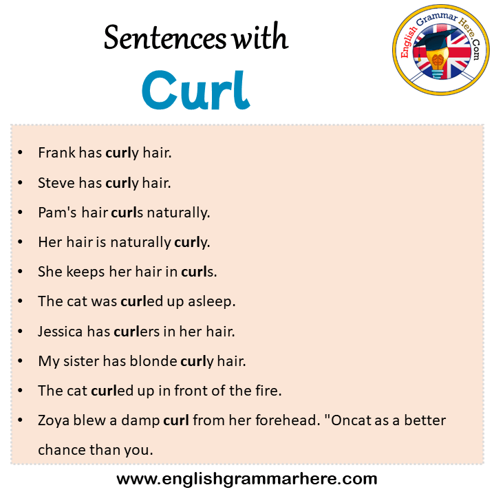 Sentences with Curl, Curl in a Sentence in English, Sentences For Curl