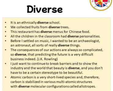 DIVERSE DEFINITION IN A SENTENCE visual data 3