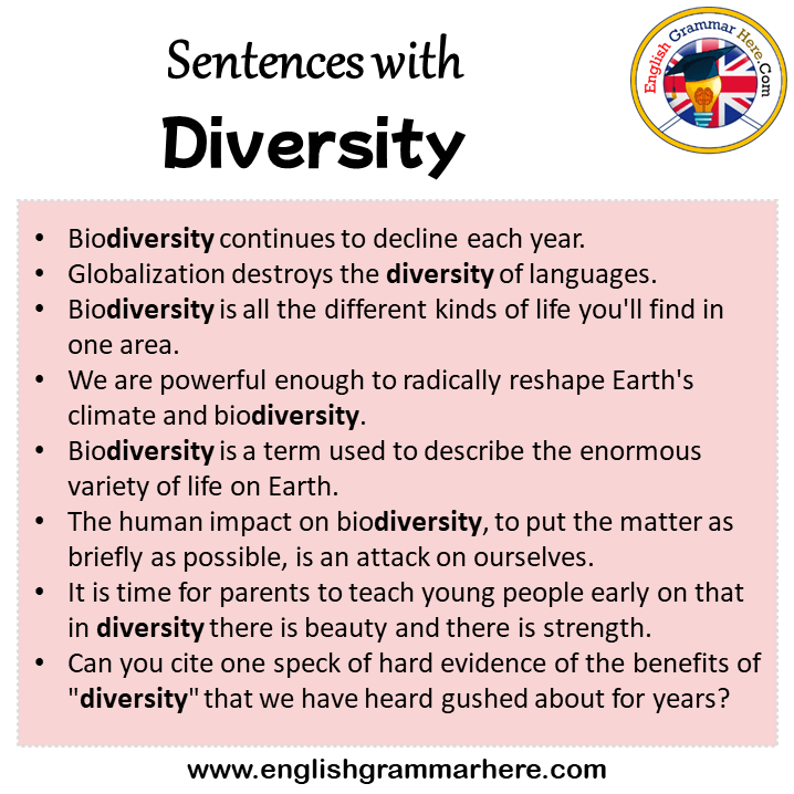 Sentences with Diversity, Diversity in a Sentence in English, Sentences For Diversity