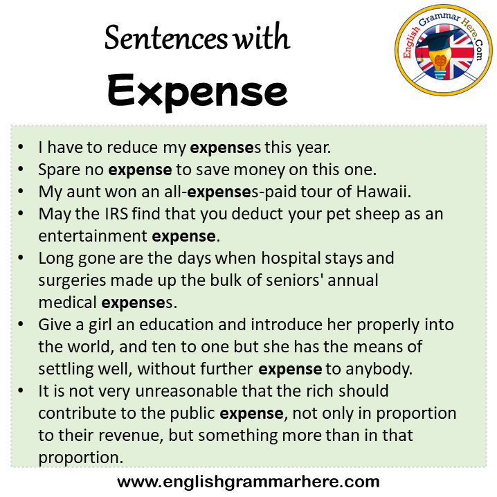 Sentences with Expense, Expense in a Sentence in English, Sentences For Expense
