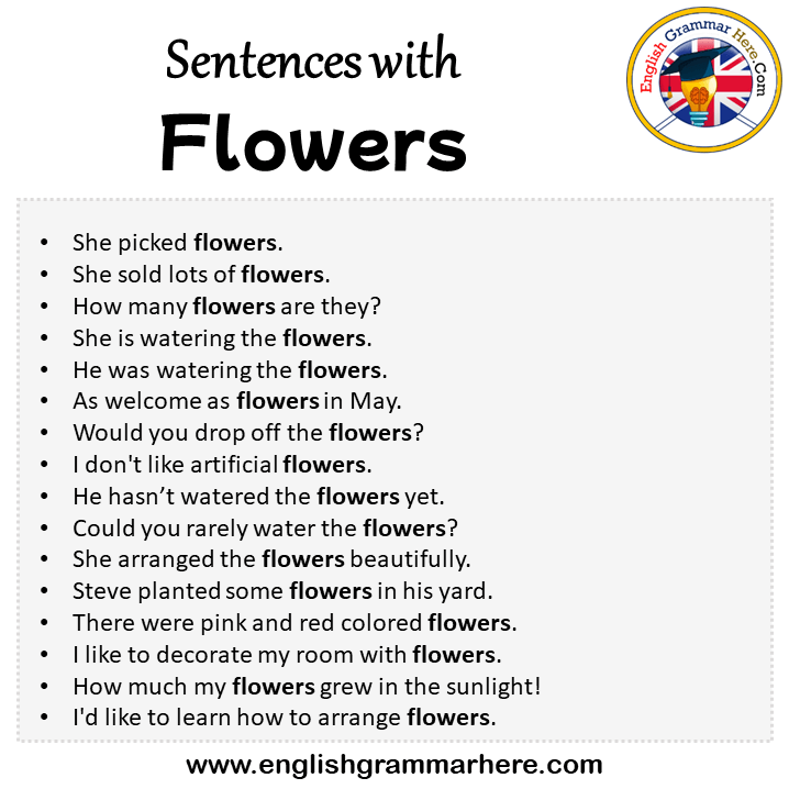 Sentences With Flowers Flowers In A Sentence In English Sentences For