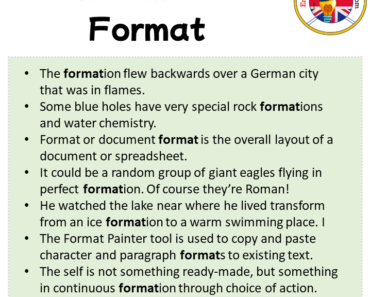 FORMAT MEANING IN ENGLISH visual data 8