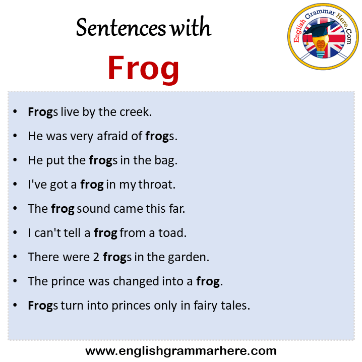 sentences-with-frog-frog-in-a-sentence-in-english-sentences-for-frog