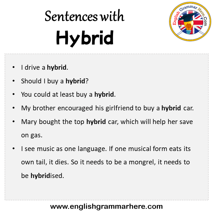 Sentences with Hybrid, Hybrid in a Sentence in English, Sentences For Hybrid