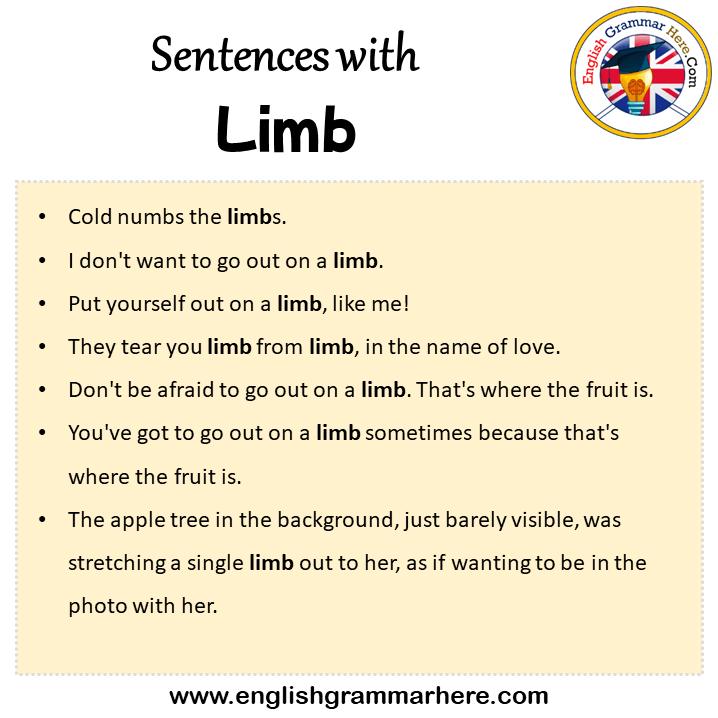 Sentences with Limb, Limb in a Sentence in English, Sentences For Limb