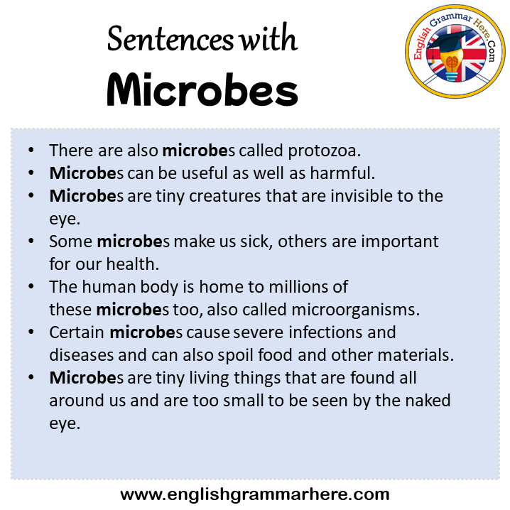 Sentences with Microbes, Microbes in a Sentence in English, Sentences For Microbes