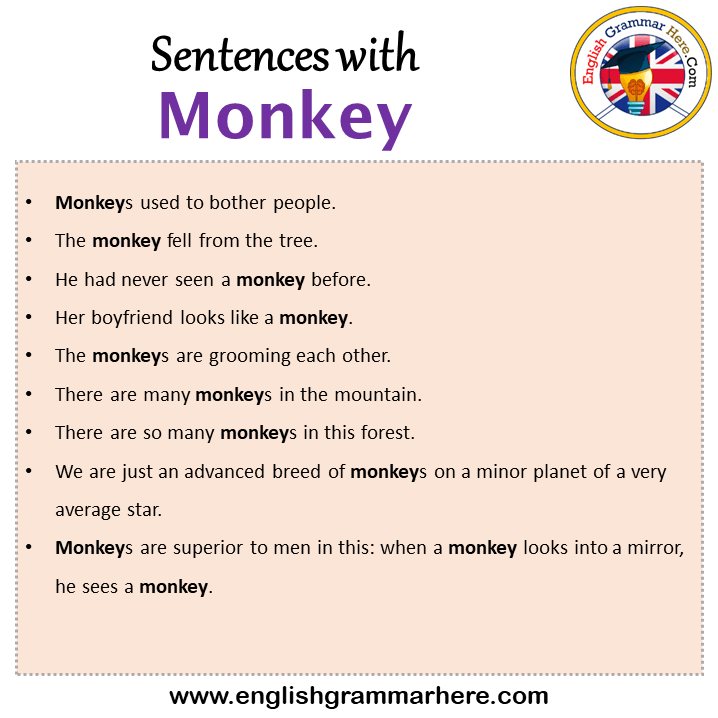 Sentences with Monkey, Monkey in a Sentence in English, Sentences For Monkey
