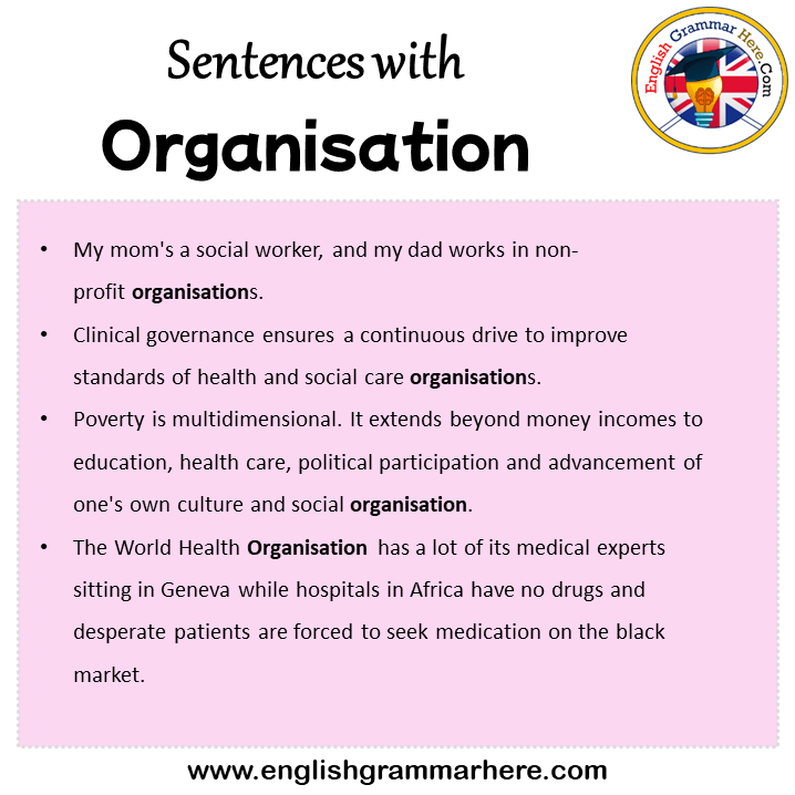 Sentences with Organisation, Organisation in a Sentence in English, Sentences For Organisation