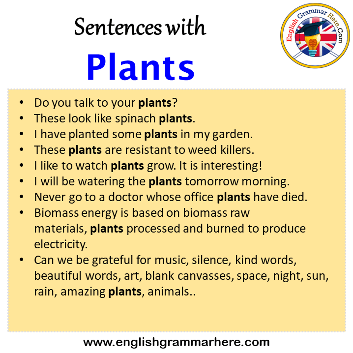 Sentences with Plants, Plants in a Sentence in English, Sentences For