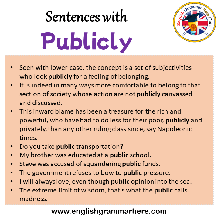 Sentences with Publicly, Publicly in a Sentence in English, Sentences For Publicly