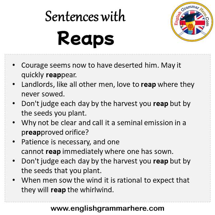 Sentences with Reaps, Reaps in a Sentence in English, Sentences For Reaps
