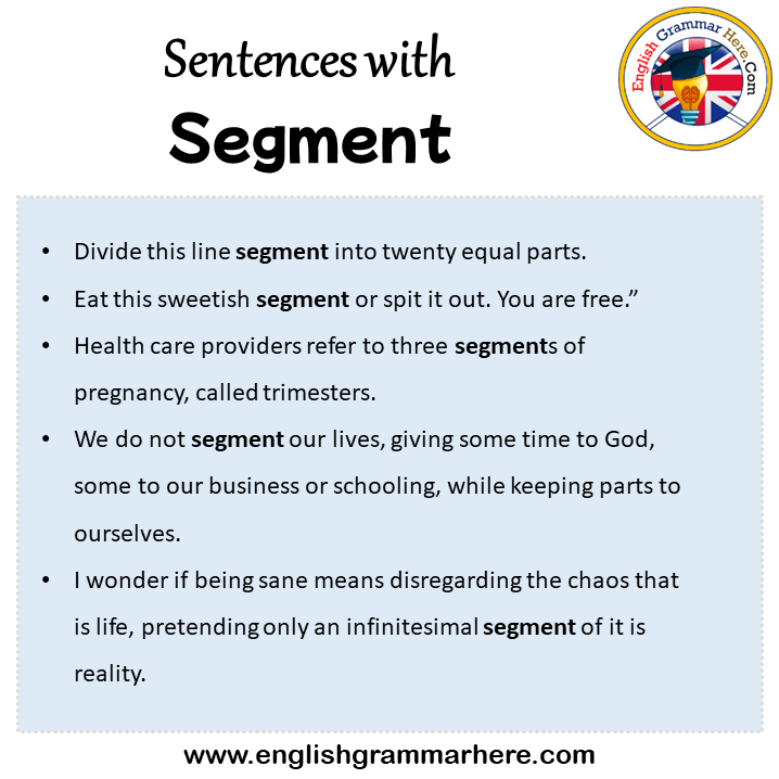 Sentences with Segment, Segment in a Sentence in English, Sentences For Segment