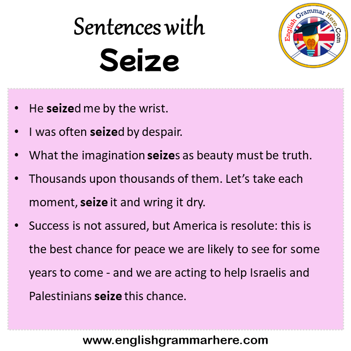 Sentences with Seize, Seize in a Sentence in English, Sentences For Seize