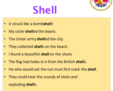 Sentences with Shell Archives - English Grammar Here