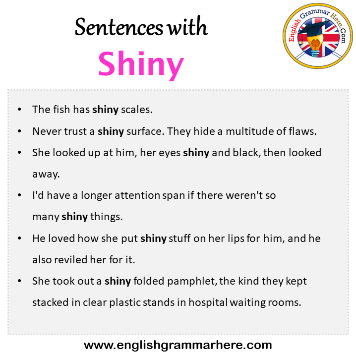 Sentences with Shiny, Shiny in a Sentence in English, Sentences For Shiny