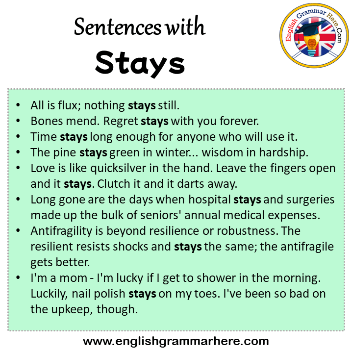 Sentences with Stays, Stays in a Sentence in English, Sentences For Stays