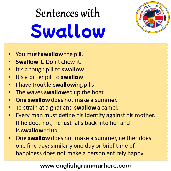 Sentences with Swallow, Swallow in a Sentence in English, Sentences For Swallow