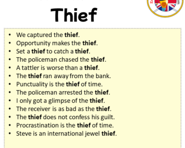 Sentences with Thief Archives - English Grammar Here