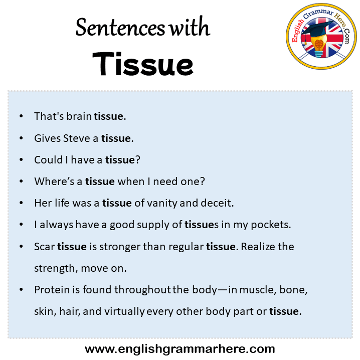 Sentences with Tissue, Tissue in a Sentence in English, Sentences For Tissue