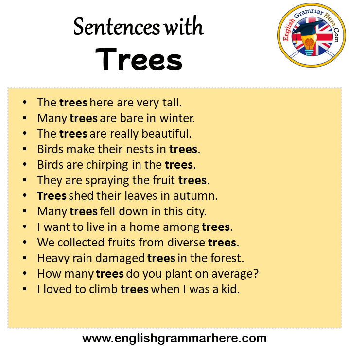 sentences-with-trees-trees-in-a-sentence-in-english-sentences-for