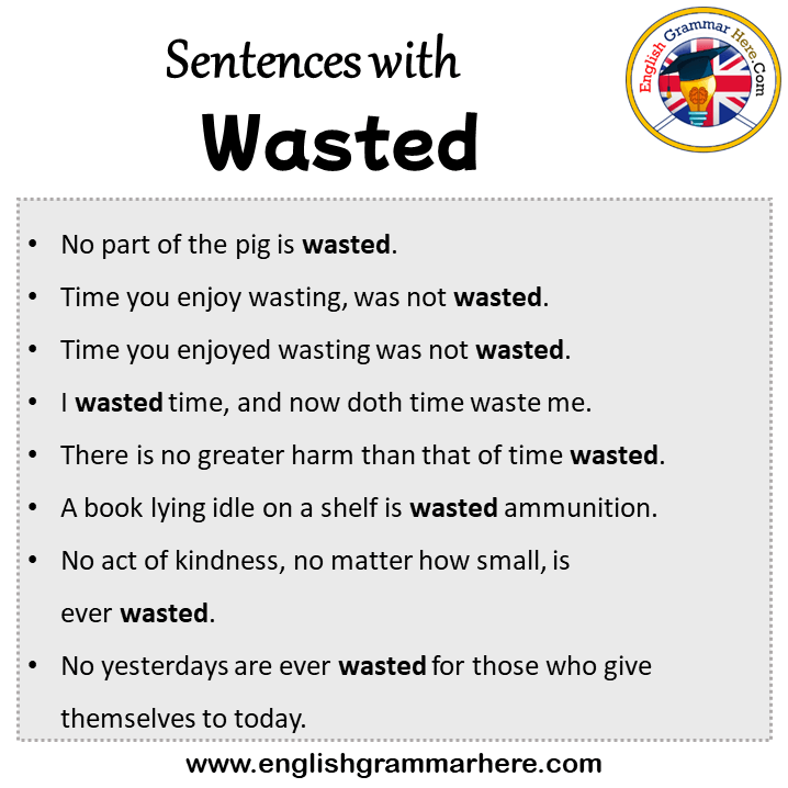Sentences with Wasted, Wasted in a Sentence in English, Sentences For Wasted