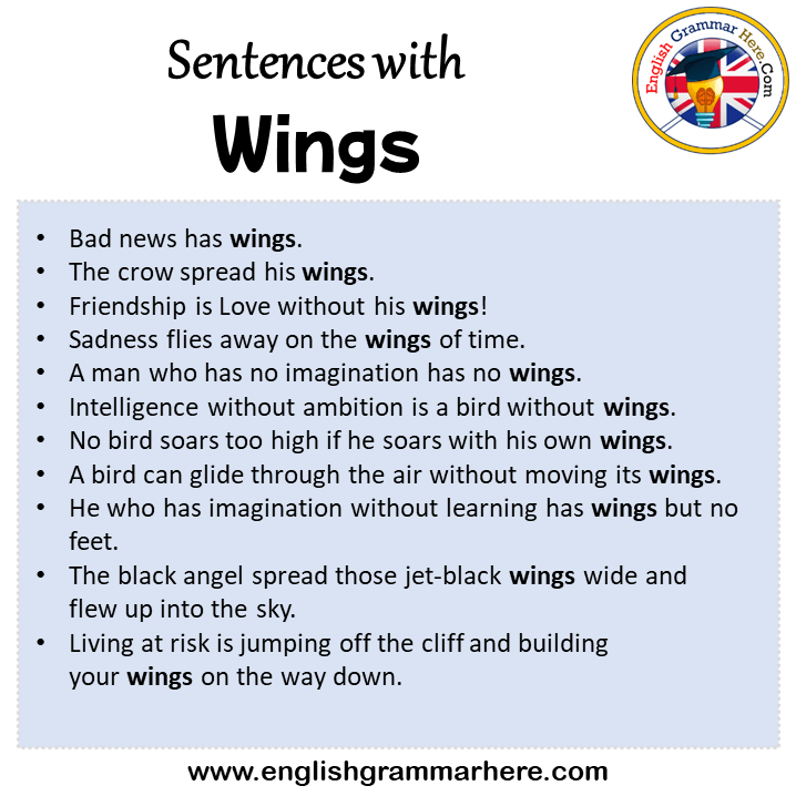 Sentences with Wings, Wings in a Sentence in English, Sentences For Wings